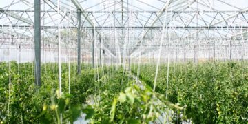 AI in Agriculture