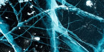 Neural Networks