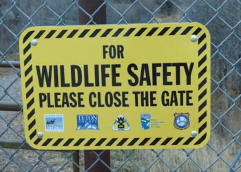 AI in Public Safety & Emergency Response: Enhancing Crisis Management Through Intelligent Systems