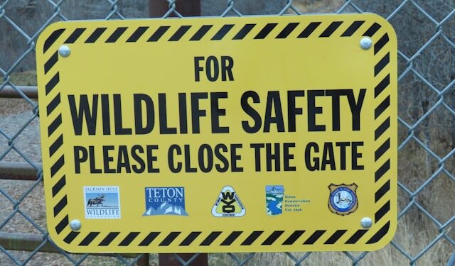 AI in Public Safety & Emergency Response: Enhancing Crisis Management Through Intelligent Systems