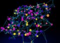 Neural Networks