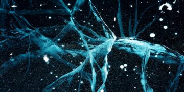 Neural Networks