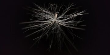 AI-assisted brain-computer interface lets a paralyzed man operate a robotic arm
