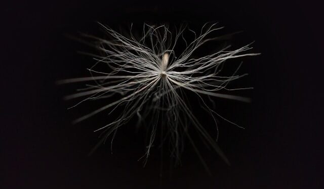 AI-assisted brain-computer interface lets a paralyzed man operate a robotic arm