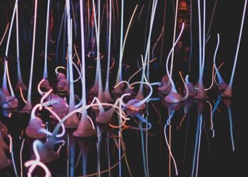 AI-assisted brain-computer interface lets a paralyzed man operate a robotic arm