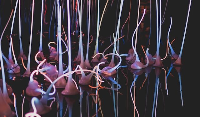 AI-assisted brain-computer interface lets a paralyzed man operate a robotic arm