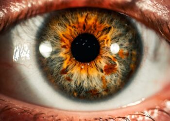 AI’s House of Cards