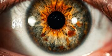 AI’s House of Cards