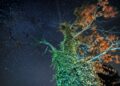The End of Algorithmic Obedience and the Birth of Stability Intelligence