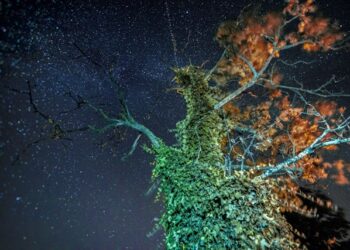 The End of Algorithmic Obedience and the Birth of Stability Intelligence