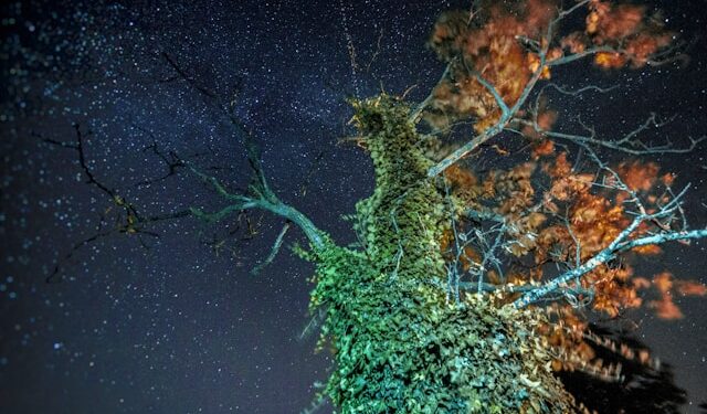 The End of Algorithmic Obedience and the Birth of Stability Intelligence