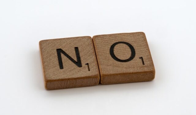 The Power of Negative Prompts