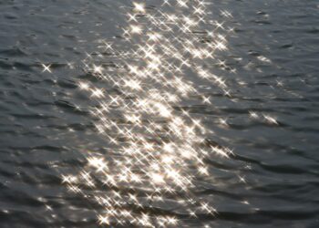 AI Is the New Camera