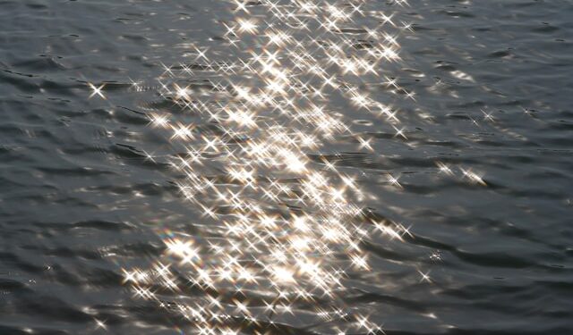 AI Is the New Camera