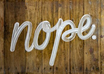 The Power of Negative Prompts