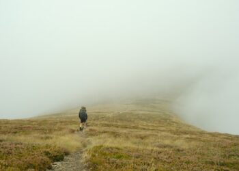 How AI Finds Its Way Through Noise