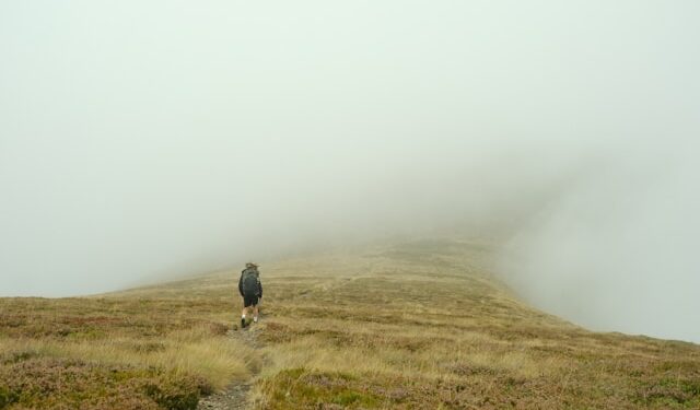 How AI Finds Its Way Through Noise