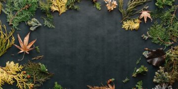 Why Large Models Contain Billions of Parameters