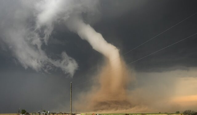 Why Predictive AI Cannot Plan and Why Stability AI Can