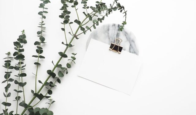 Why Large Models Contain Billions of Parameters