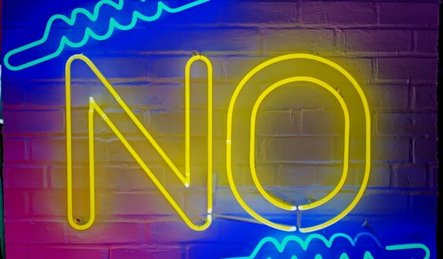 The Power of Negative Prompts