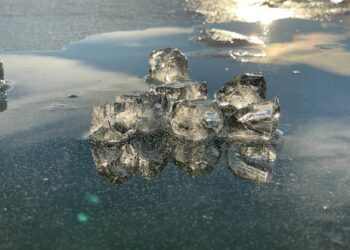 Time as the Architecture of Intelligence