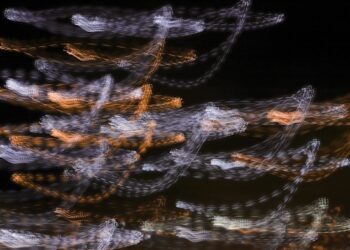 Time as the Architecture of Intelligence