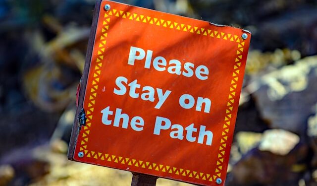 Robotics and the Dream of Mechanical Mind