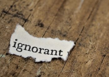 The Illusion of Intelligence