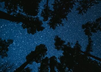 Clustering: The Mathematics of Proximity