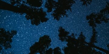 Clustering: The Mathematics of Proximity