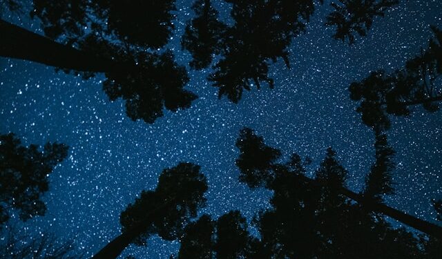 Clustering: The Mathematics of Proximity