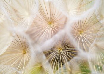 Why Large Models Contain Billions of Parameters