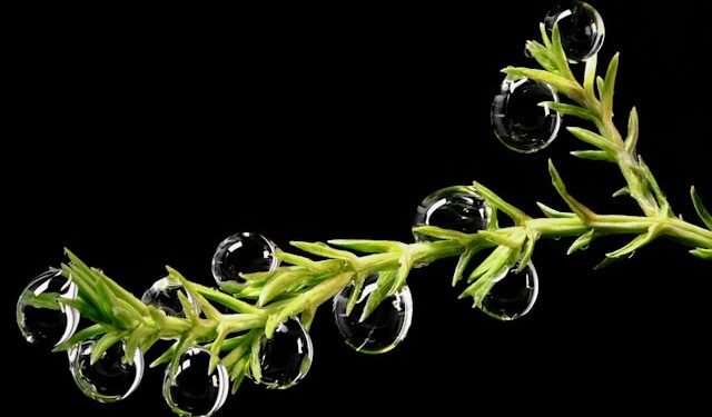 Why Wall Street Thinks the AI Boom Isn’t a Bubble—For Now