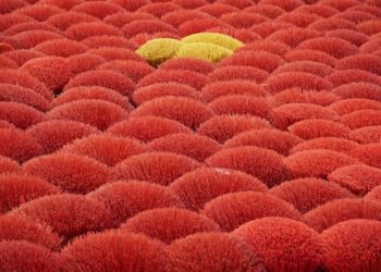 Why Neural Networks Are Metaphors, Not Neurons