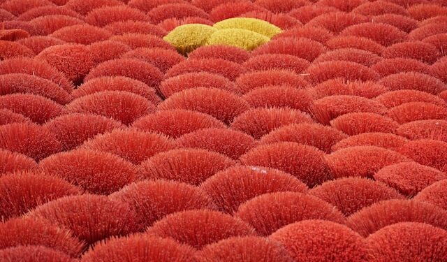 Why Neural Networks Are Metaphors, Not Neurons