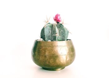 Why Large Models Contain Billions of Parameters