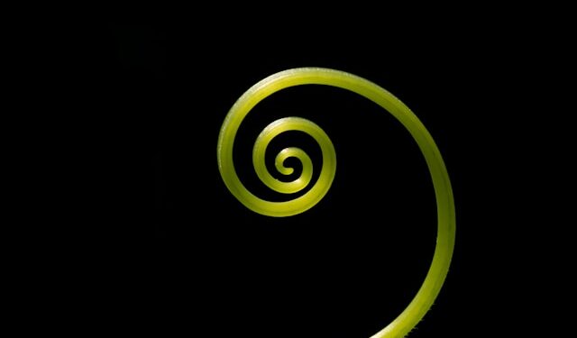 How Diffusion Models Work