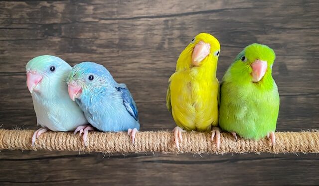 Clustering: The Mathematics of Proximity