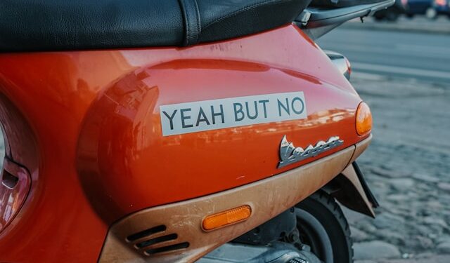 The Power of Negative Prompts