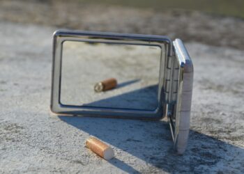 The Illusion of Intelligence