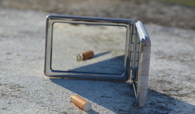 The Illusion of Intelligence