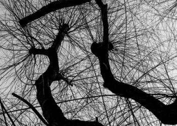 The True Meaning of Agentic AI