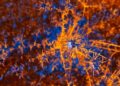 The True Meaning of Agentic AI