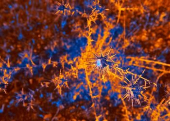 The True Meaning of Agentic AI