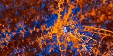 The True Meaning of Agentic AI