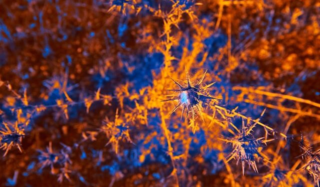 The True Meaning of Agentic AI