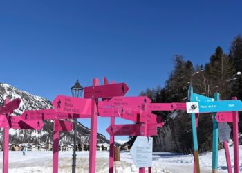 Stabilize and Unstabilize A Framework for Real World AI