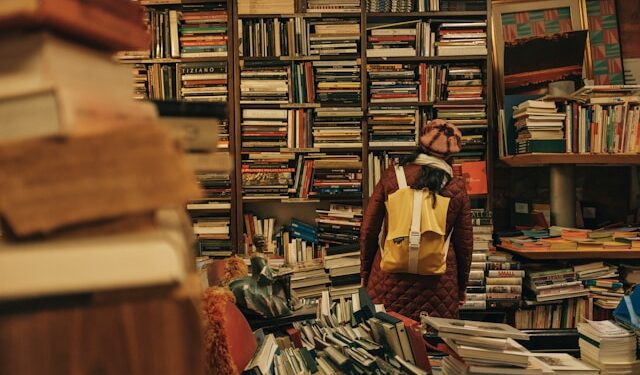 Stabilize and Unstabilize A Framework for Real World AI