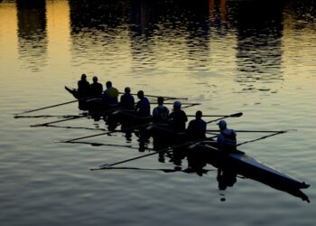 Intelligence as Collaboration